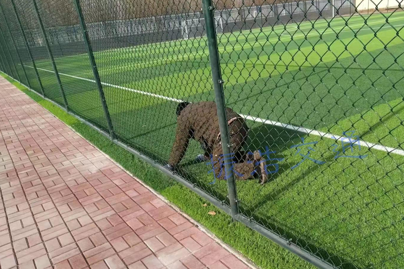 Забор стадиона